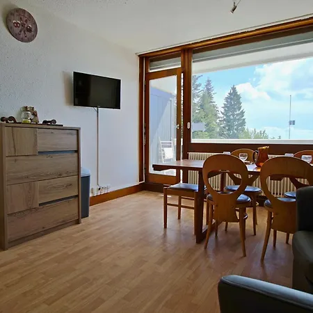 Cabine, Balcon Sud, Pied Des Pistes - Fr-1-549-48 Apartman